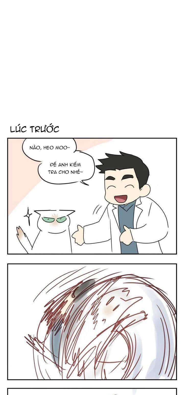 Xin Chào! Bác Sĩ Thú Y Chap 53 - Next Chap 54