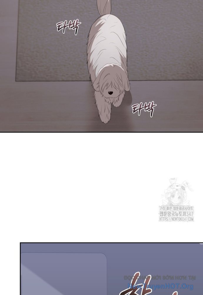 Xin Chào! Bác Sĩ Thú Y Chap 56 - Next Chap 57