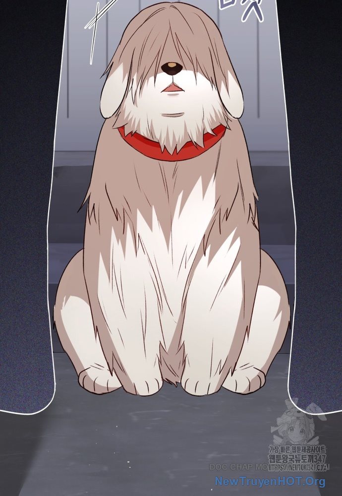 Xin Chào! Bác Sĩ Thú Y Chap 56 - Next Chap 57