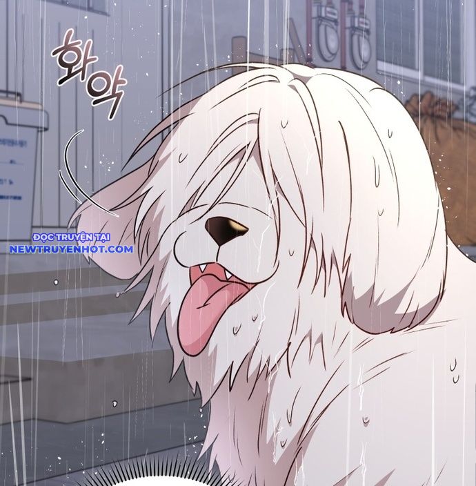 Xin Chào! Bác Sĩ Thú Y Chap 57 - Next Chap 58