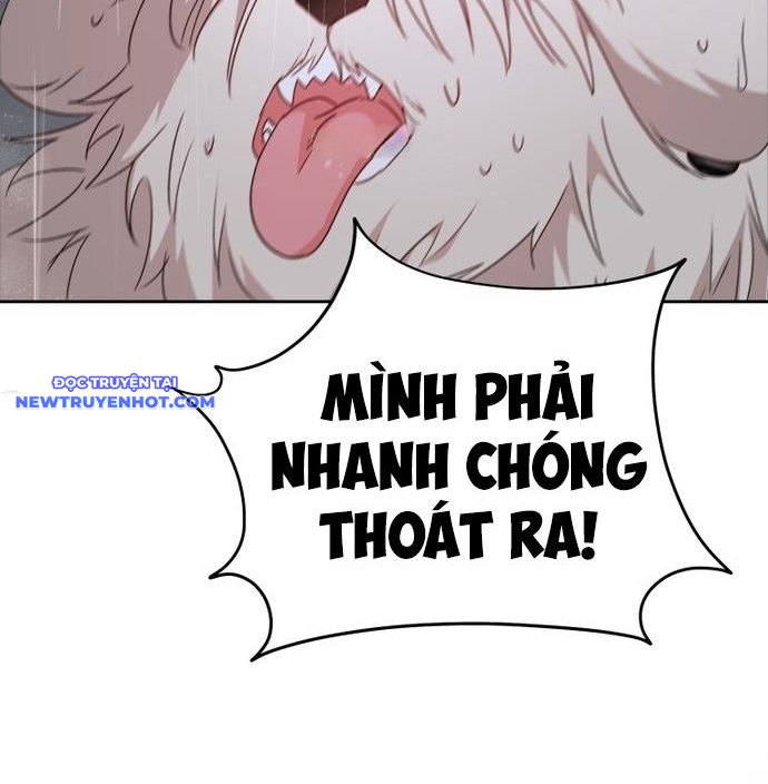 Xin Chào! Bác Sĩ Thú Y Chap 57 - Next Chap 58
