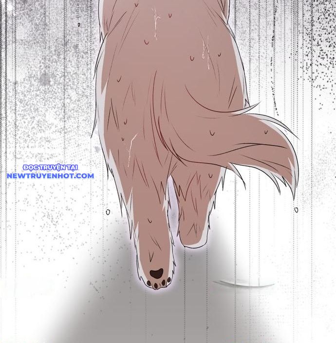 Xin Chào! Bác Sĩ Thú Y Chap 57 - Next Chap 58