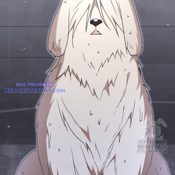 Xin Chào! Bác Sĩ Thú Y Chap 59 - Next Chap 60