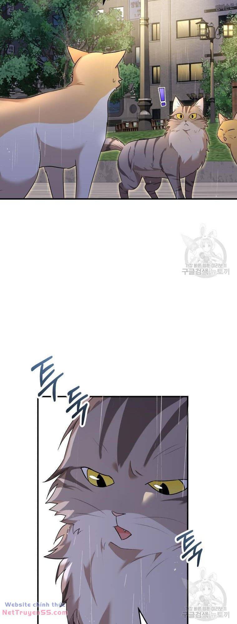 Xin Chào! Bác Sĩ Thú Y Chap 6 - Next Chap 7