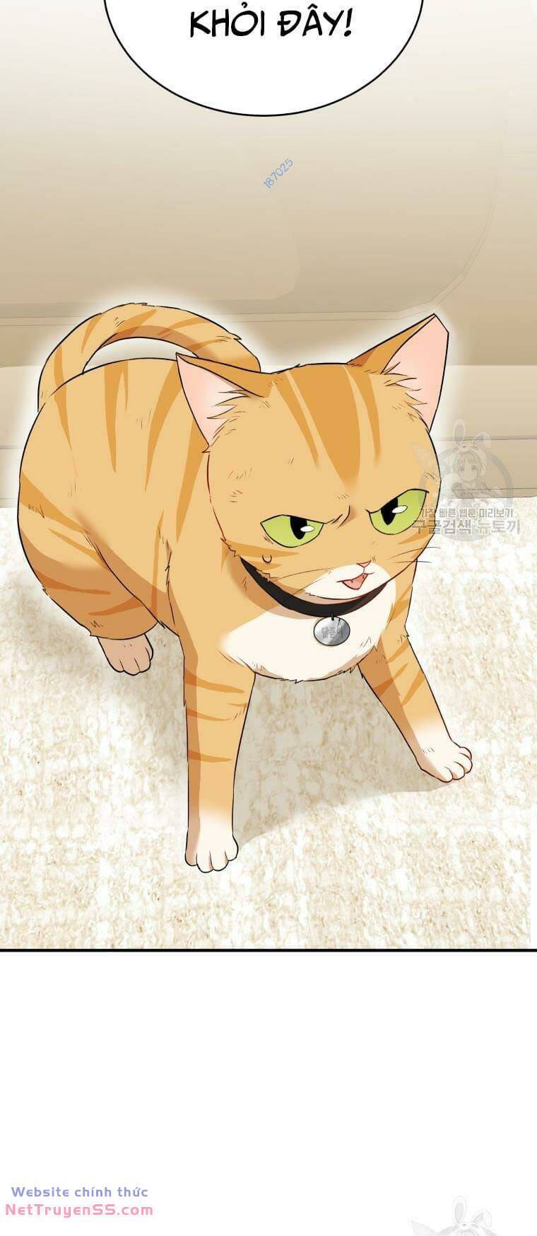 Xin Chào! Bác Sĩ Thú Y Chap 7 - Next Chap 8