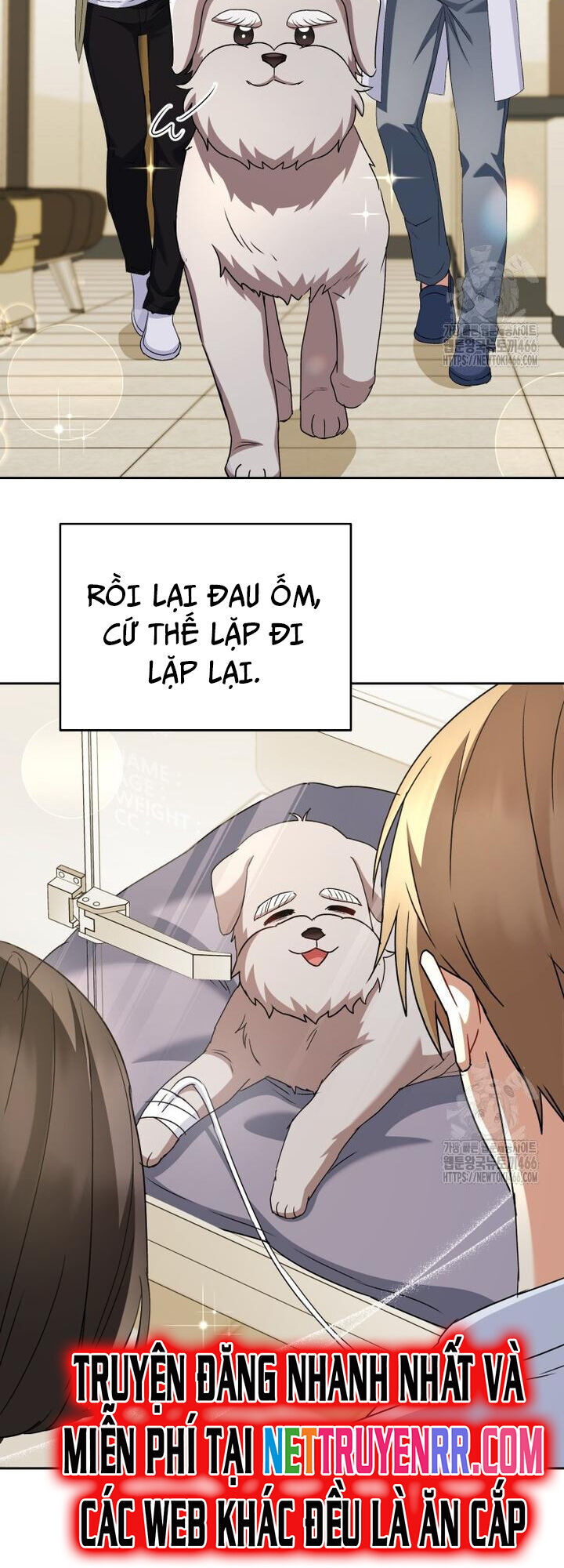 Xin Chào! Bác Sĩ Thú Y Chap 72 - Next Chap 73