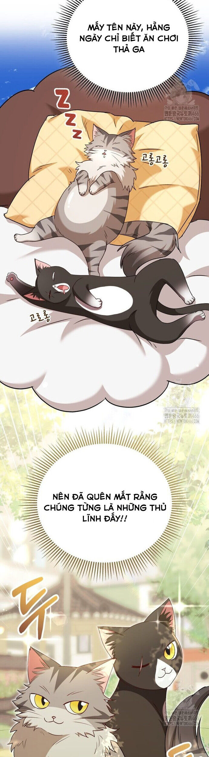 Xin Chào! Bác Sĩ Thú Y Chap 75 - Next Chap 76