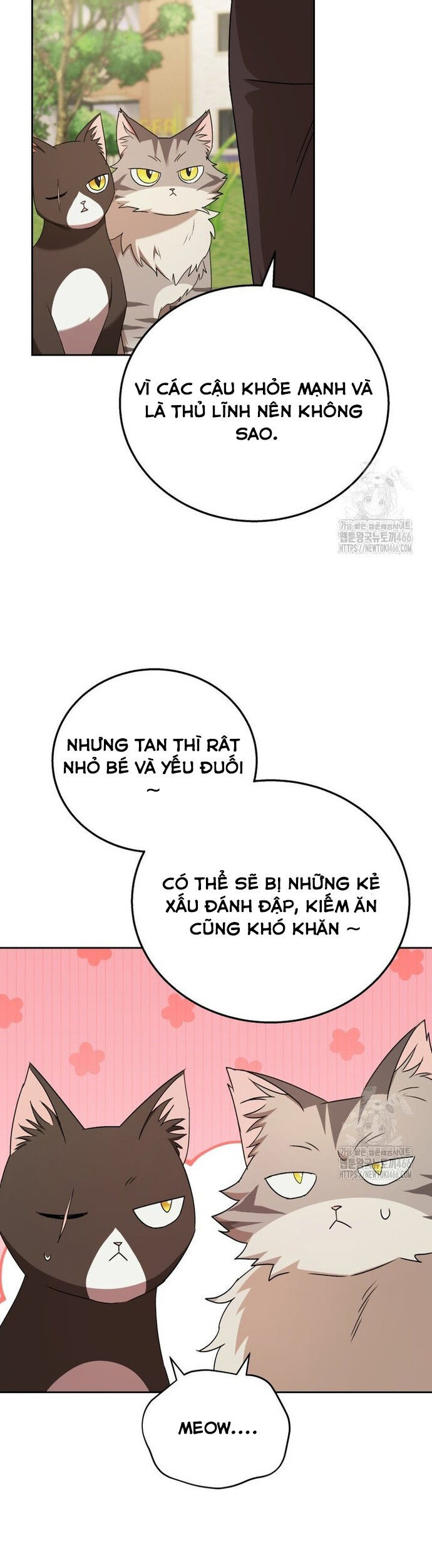 Xin Chào! Bác Sĩ Thú Y Chap 75 - Next Chap 76