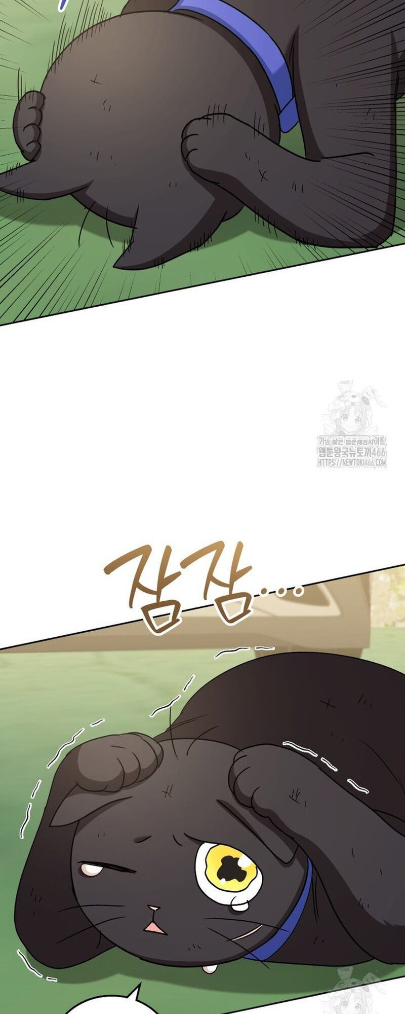 Xin Chào! Bác Sĩ Thú Y Chap 77 - Next Chap 78