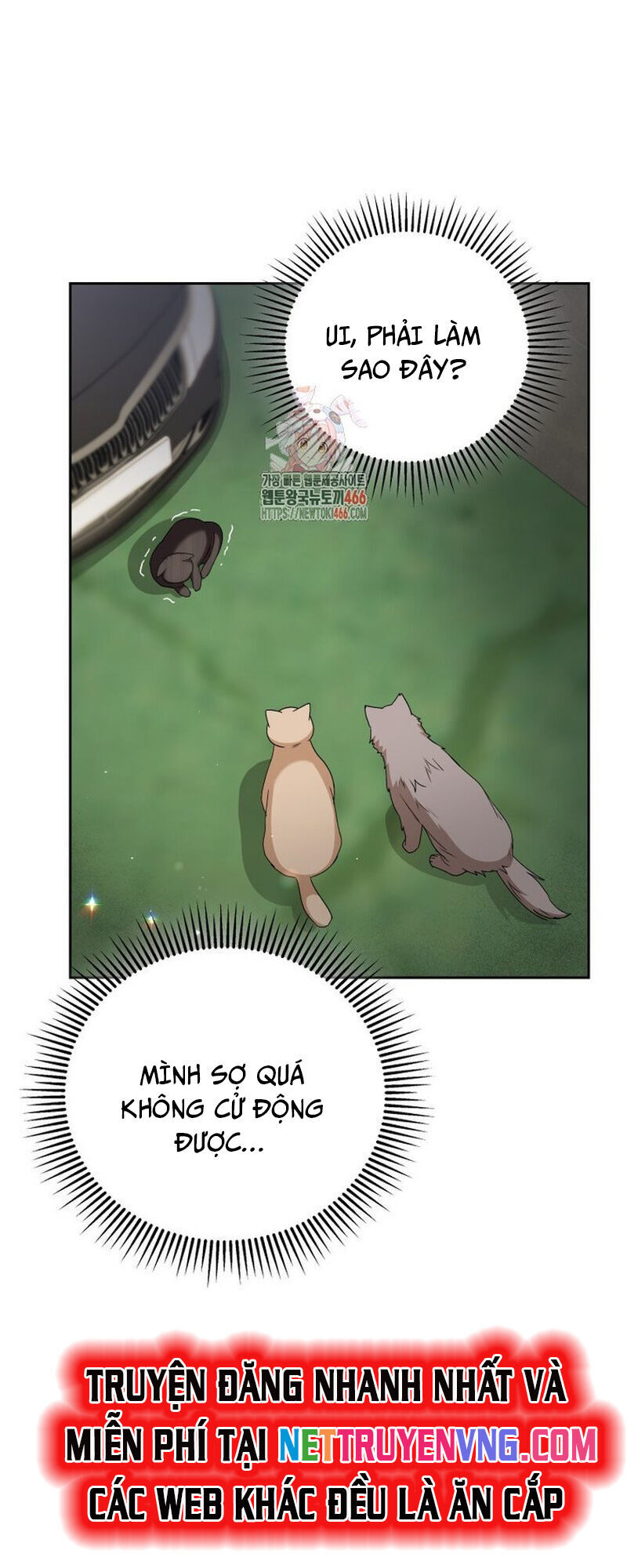 Xin Chào! Bác Sĩ Thú Y Chap 77 - Next Chap 78