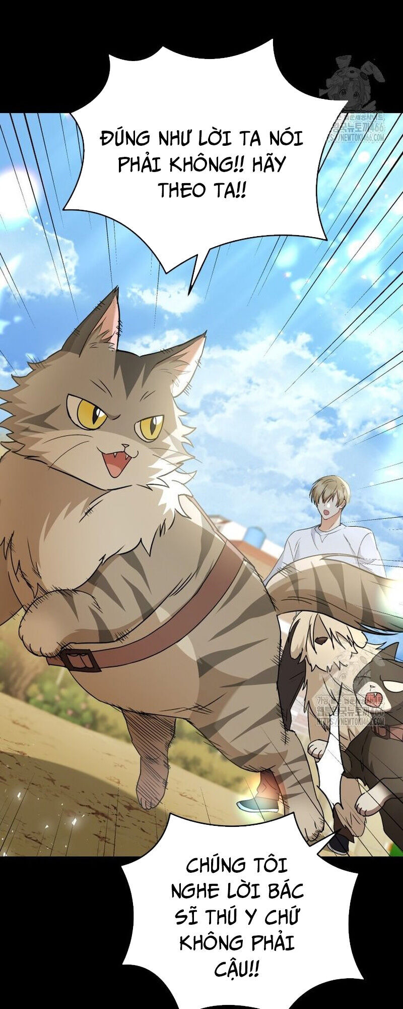 Xin Chào! Bác Sĩ Thú Y Chap 77 - Next Chap 78