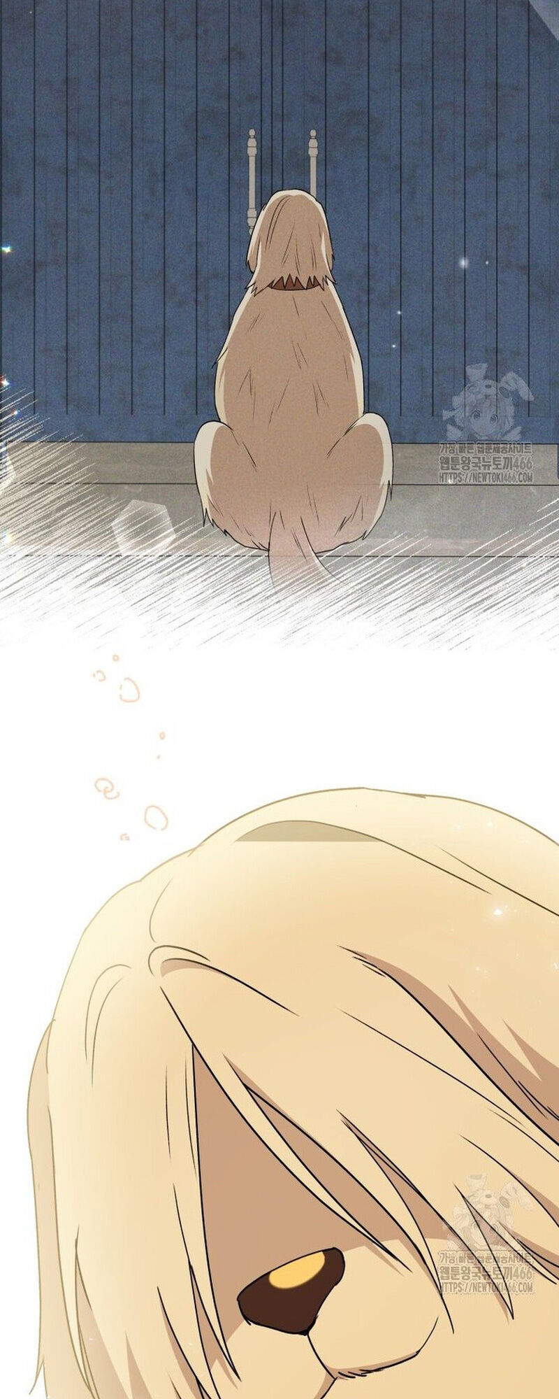 Xin Chào! Bác Sĩ Thú Y Chap 77 - Next Chap 78