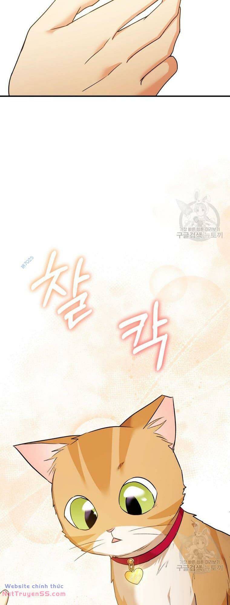 Xin Chào! Bác Sĩ Thú Y Chap 8 - Next Chap 9