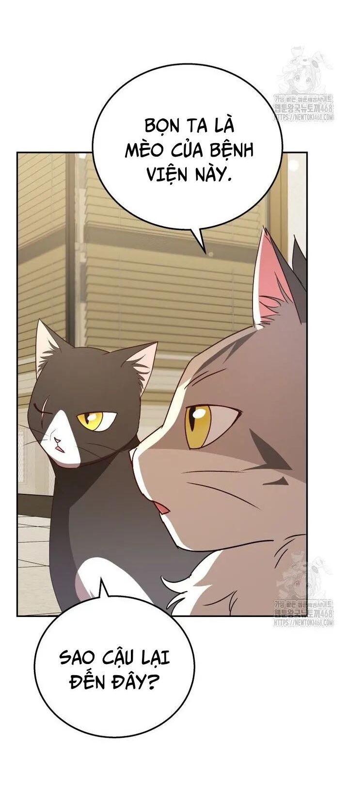 Xin Chào! Bác Sĩ Thú Y Chap 85 - Next Chap 86