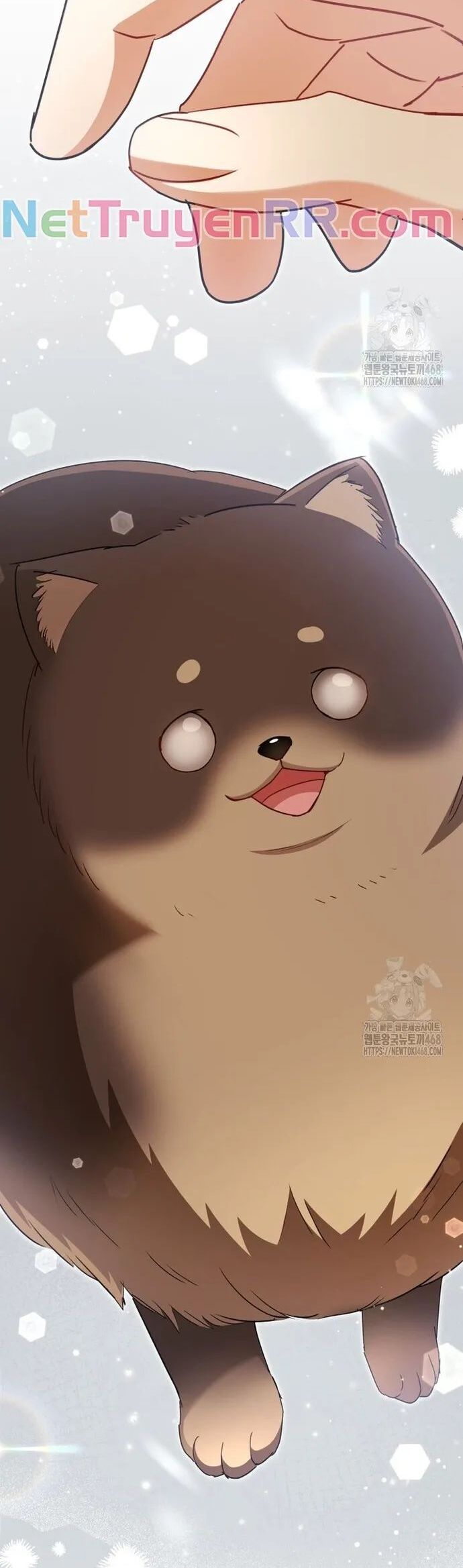 Xin Chào! Bác Sĩ Thú Y Chap 86 - Next Chap 87