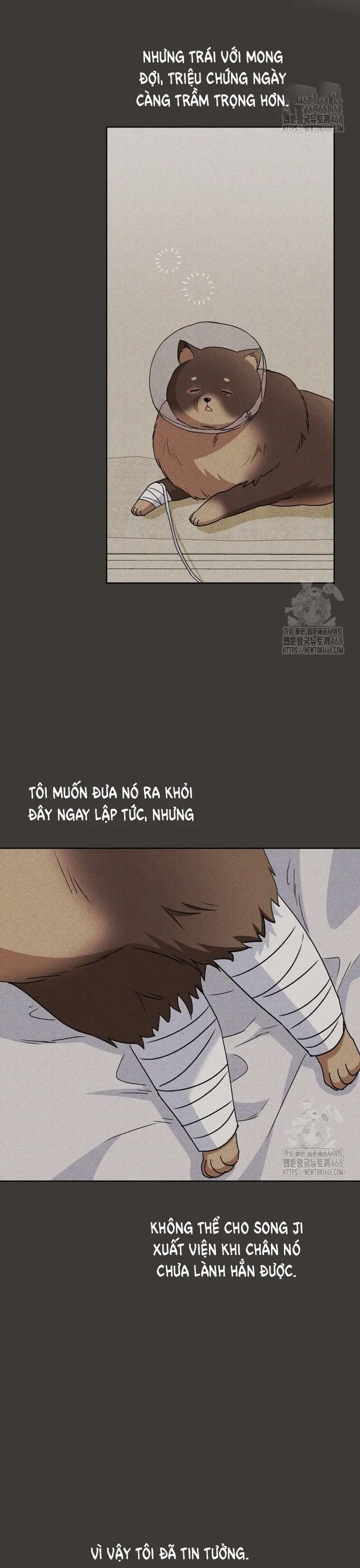 Xin Chào! Bác Sĩ Thú Y Chap 87 - Next Chap 88