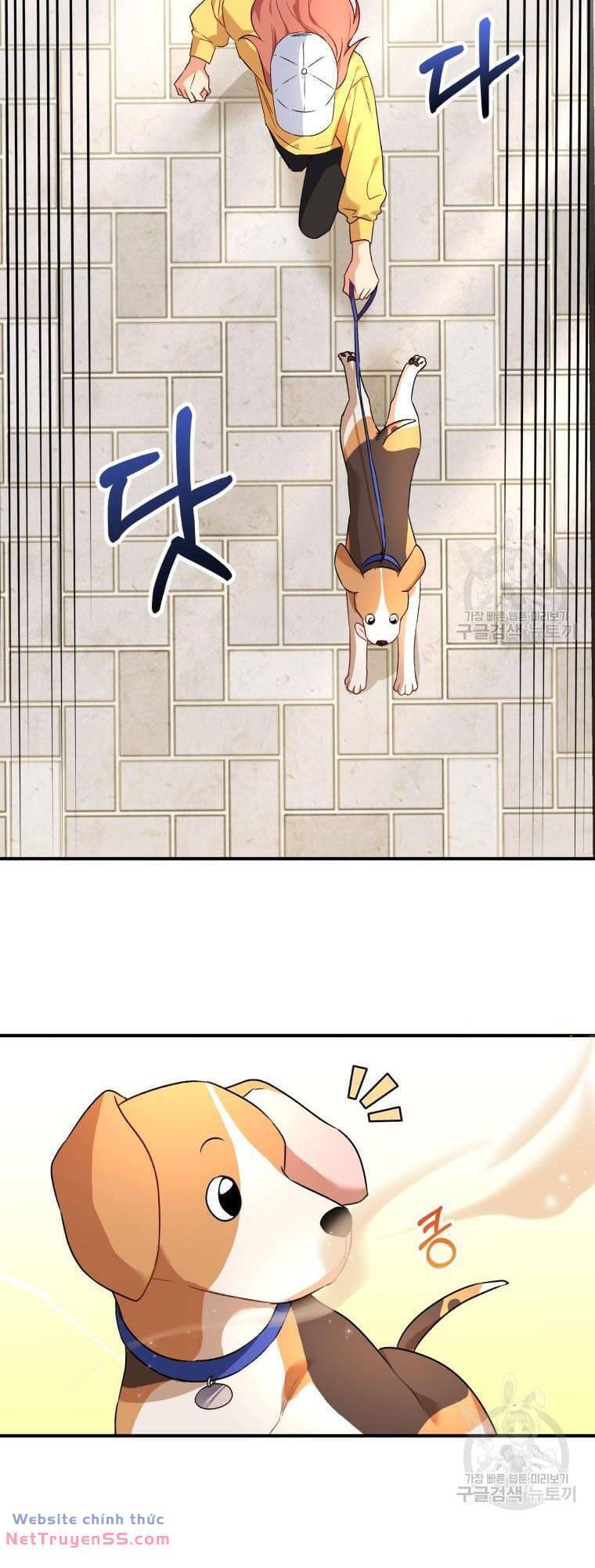 Xin Chào! Bác Sĩ Thú Y Chap 9 - Next Chap 10