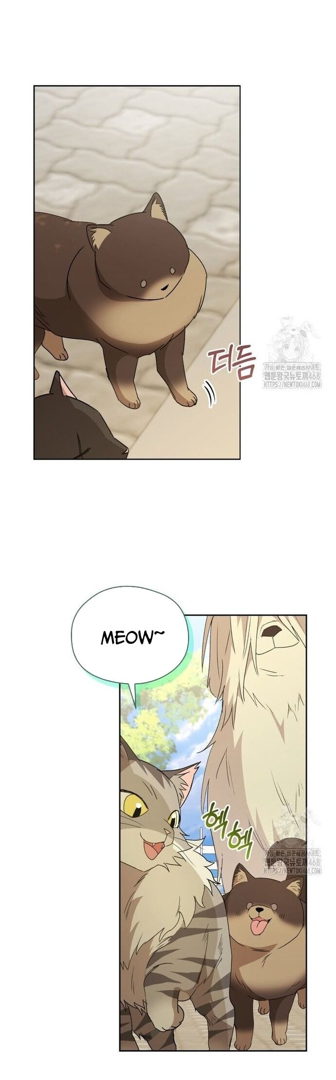 Xin Chào! Bác Sĩ Thú Y Chap 91 - Next Chap 92