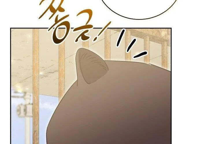 Xin Chào! Bác Sĩ Thú Y Chap 92 - Next Chap 93