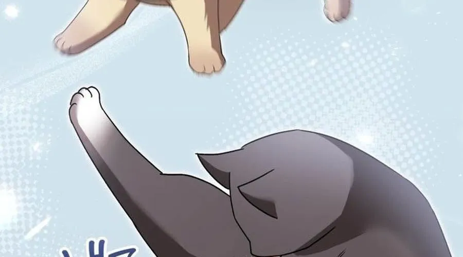 Xin Chào! Bác Sĩ Thú Y Chap 94 - Next Chap 95