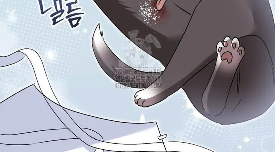 Xin Chào! Bác Sĩ Thú Y Chap 94 - Next Chap 95