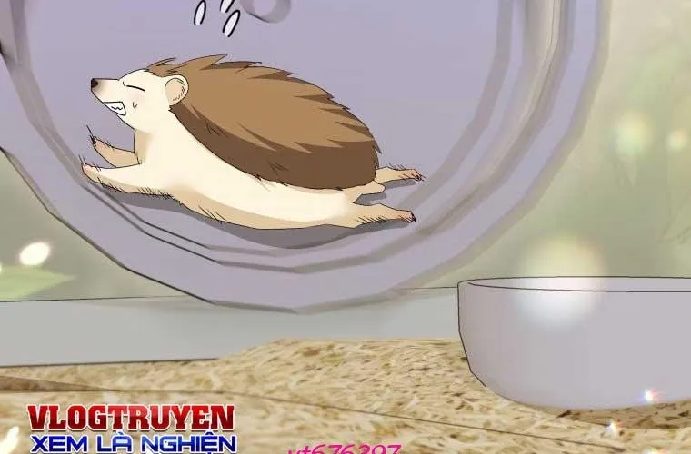 Xin Chào! Bác Sĩ Thú Y Chap 99 - Next Chap 100