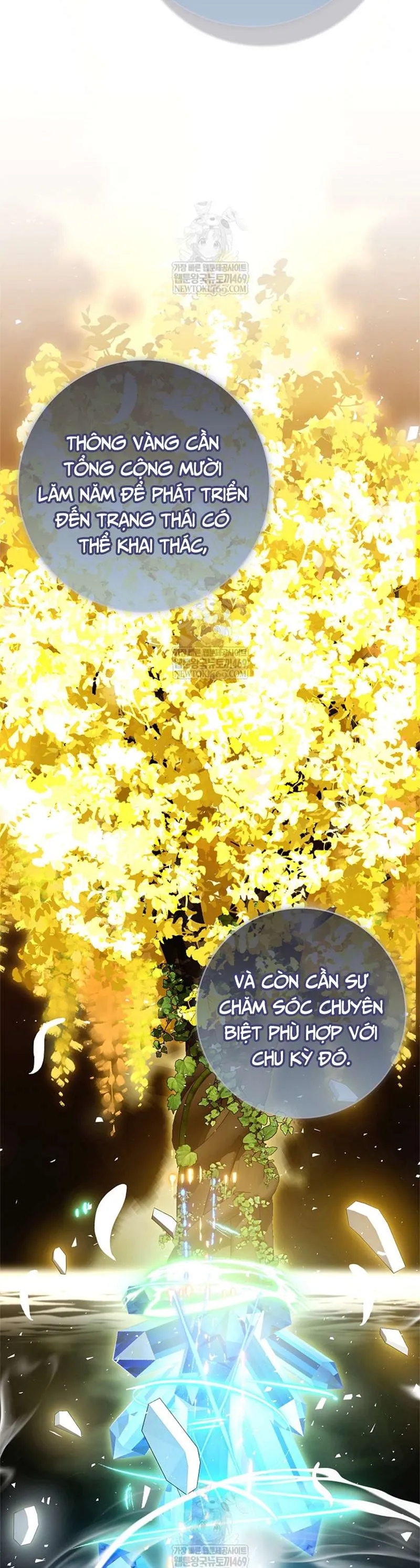 Xin Lỗi Vì Tôi Không Thể Rời Mắt Khỏi Vẻ Ngoài Của Ngài Chap 51 - Next Chap 52