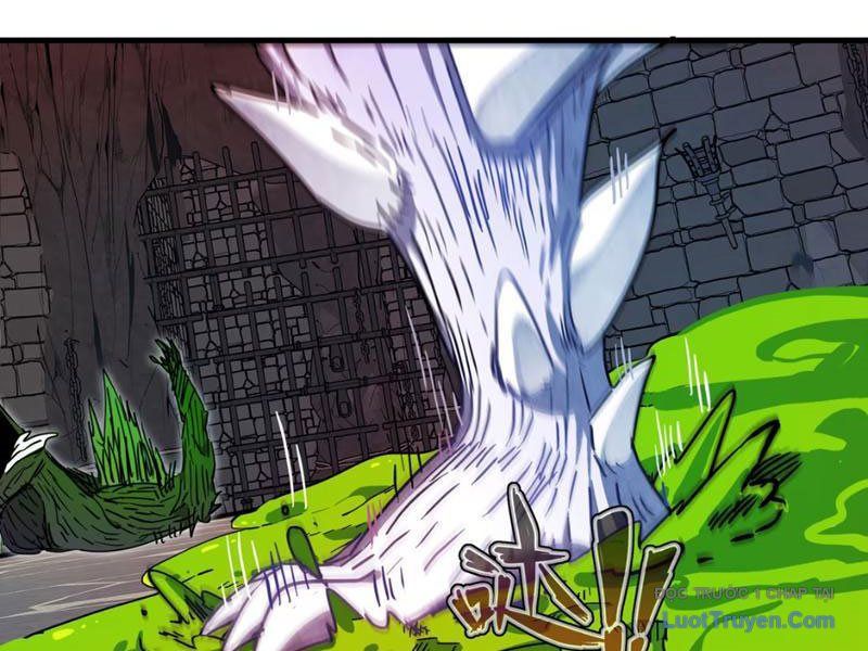 Xuyên Không Thành Ma Tôn Pháo Hôi? Nhưng Ta Là Streamer Công Lược Chap 13 - Next Chap 14