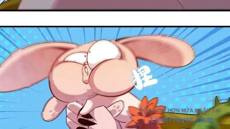 Xuyên Không Thành Ma Tôn Pháo Hôi? Nhưng Ta Là Streamer Công Lược Chap 17 - Next Chap 18