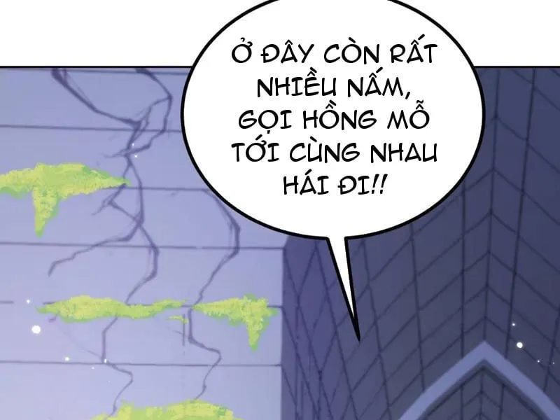 Xuyên Không Tới Dị Giới, Chỉ Muốn Cùng Ma Vật Yêu Đương Chap 1 - Next Chap 2