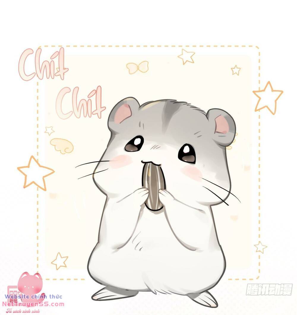 Yêu Đương Không Bằng Thả Thính Idol Chap 19 - Next Chap 20