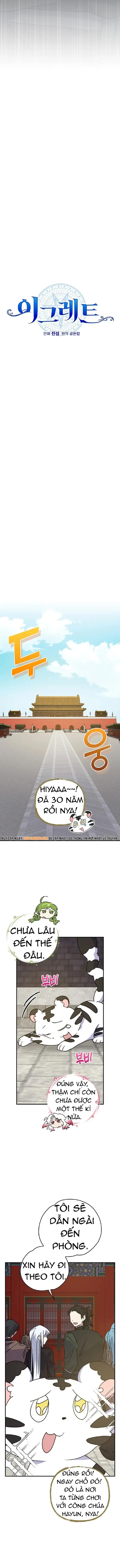 Ygret Chap 104 - Next Chap 105